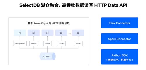 定义现代化实时数据仓库 SelectDB全新产品形态全面发布，引领数据处理服务新范式